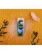Radox Feel Active душ гел 225 мл.