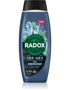 Radox Feel Energised душ-гел за мъже 2 в 1 450 мл.