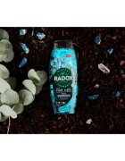 Radox Feel Energised душ-гел за мъже 2 в 1 450 мл.