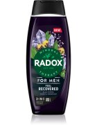 Radox Feel Recovered душ-гел за мъже 2 в 1 450 мл.