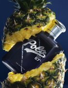 Ralph Lauren Polo 67 парфюмна вода за мъже 40 мл.