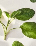 Ralph Lauren Polo Earth Provencial Sage тоалетна вода унисекс 100 мл.