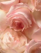 Ralph Lauren Romance парфюмна вода за жени 100 мл.
