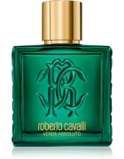 Roberto Cavalli Uomo Verde Assoluto парфюмна вода за мъже 100 мл.