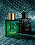 Roberto Cavalli Uomo Verde Assoluto парфюмна вода за мъже 100 мл.