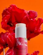Roger & Gallet Gingembre Rouge Wellbeing Solid Fragrance твърд парфюм за жени 5 гр.