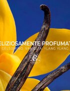 Roger & Gallet Vanille Soleil парфюмирано мляко за тяло 250 мл.