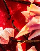 Roja Parfums Nüwa парфюм унисекс 100 мл.