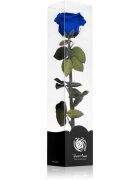RoseAmor Blue стабилизирана роза стрък 1 бр.