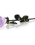 RoseAmor Lila стабилизирана роза стрък 30 см 1 бр.