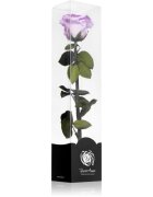 RoseAmor Lila стабилизирана роза стрък 30 см 1 бр.