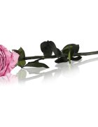 RoseAmor Pink стабилизирана роза стрък 30 см 1 бр.