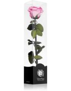 RoseAmor Pink стабилизирана роза стрък 30 см 1 бр.