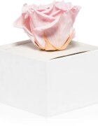 RoseAmor Pink стабилизирана роза в кутия 1 бр.