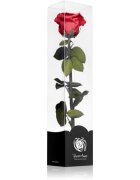 RoseAmor Red стабилизирана роза стрък 30 см 1 бр.