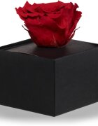 RoseAmor Red стабилизирана роза в кутия 1 бр.
