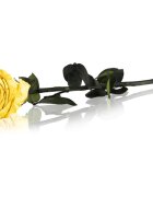 RoseAmor Yellow стабилизирана роза стрък 30 см 1 бр.