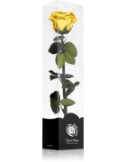 RoseAmor Yellow стабилизирана роза стрък 30 см 1 бр.