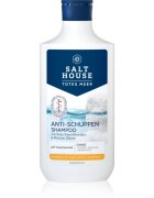 Salt House Dead Sea Therapy Anti-dandruff Shampoo шампоан против пърхот 250 мл.