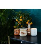 Sanctuary Spa Signature Natural Oils скраб със сол за подхранване и хидратация 650 гр.