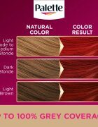 Schwarzkopf Palette Deluxe перманентната боя за коса цвят 6-888 Flaming Red 1 бр.