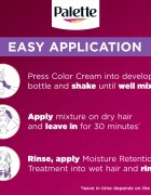 Schwarzkopf Palette Deluxe перманентната боя за коса цвят U71 Frosty Silver 1 бр.