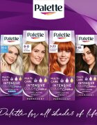 Schwarzkopf Palette Intensive Color Creme перманентната боя за коса цвят 4-0 N3 Medium Brown 1 бр.