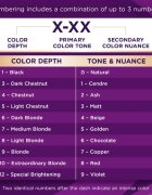 Schwarzkopf Palette Intensive Color Creme перманентната боя за коса цвят 4-0 N3 Medium Brown 1 бр.