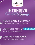 Schwarzkopf Palette Intensive Color Creme перманентната боя за коса цвят (C9) 9.5-1 Silver Blond 1 бр.