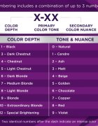 Schwarzkopf Palette Intensive Color Creme перманентната боя за коса цвят (C9) 9.5-1 Silver Blond 1 бр.