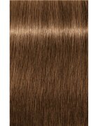 Schwarzkopf Professional IGORA Royal Absolutes боя за коса цвят 7-50 Medium Blonde Gold Natural 60 мл.