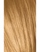 Schwarzkopf Professional IGORA Royal Absolutes боя за коса цвят 9-50 Extra Light Blonde Gold Natural 60 мл.