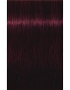 Schwarzkopf Professional IGORA Royal боя за коса цвят 4-99 Medium Brown Violet Extra 60 мл.