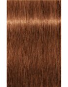 Schwarzkopf Professional IGORA Royal боя за коса цвят 7-76 Medium Blonde Copper Chocolate 60 мл.