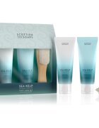 Scottish Fine Soaps Sea Kelp подаръчна опаковка