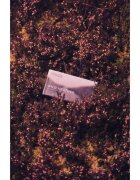 Scottish Fine Soaps Wild Heather почистващ твърд сапун 220 гр.