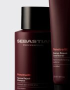 Sebastian Professional Penetraitt шампоан за увредена и химически третирана коса 280 мл.