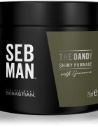 Sebastian Professional SEB MAN The Dandy помада за коса за естествена фиксация 75 мл.