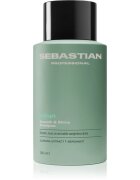 Sebastian Professional Volupt шампоан за обем 280 мл.
