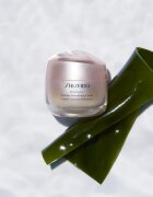 Shiseido Benefiance Wrinkle Smoothing Cream дневен и нощен крем против бръчки за всички типове кожа на лицето 50 мл.