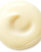 Shiseido Benefiance Wrinkle Smoothing Day Cream дневен крем против бръчки SPF 25 50 мл.