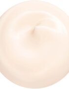 Shiseido Essential Energy Hydrating Day Cream дневен хидратиращ крем SPF 20 резервен пълнител 50 мл.