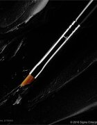 Sigma Beauty Eyes E06 WINGED LINER™ BRUSH четка за очна линия 1 бр.