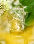 Sisley L'Eau Rêvée d'Hubert тоалетна вода за жени 100 мл.