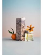 Sister's Aroma Amalfi Siesta арома-дифузер 100 мл.