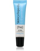 Skincyclopedia 1% Hyaluronic Acid Complex балсам за устни 10 мл.