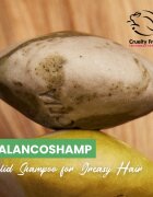 Soaphoria Hair Care Solid Shampoo органичен твърд шампоан за мазна коса 60 гр.