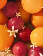 Sol de Janeiro Cheeky Biquíni Парфюмирана мъгла за тяло и коса за жени 90 мл.