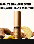 STMNT Staygold Spray Powder спрей-пудра за фиксиране и оформяне 4 гр.