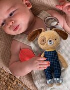 Taf Toys Activity Toy Daniel The Dog контрастна играчка за окачане с гризалка 1 бр.